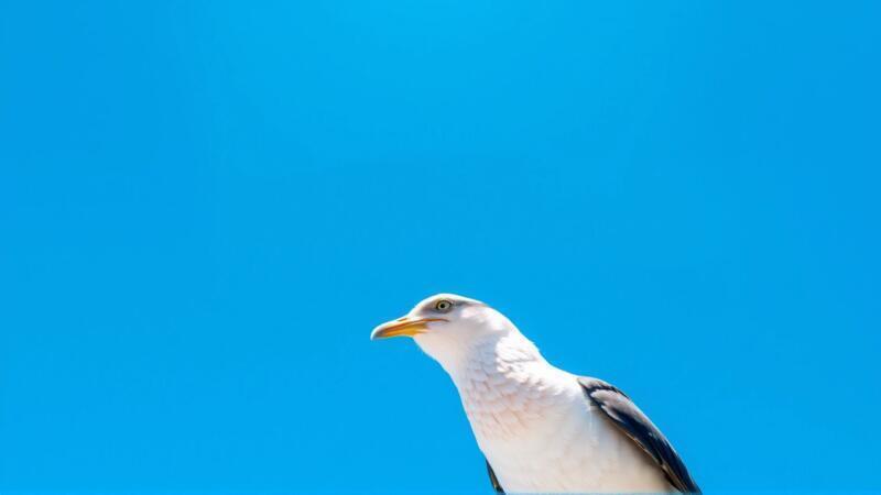Águila majestuosa, cielo abierto, libertad y poder