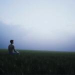 Sueños analizados: La interpretación freudiana en calma