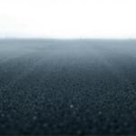 Vasto sueño gris, moscas y simbolismo oculto