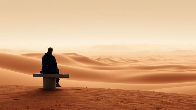 Subconsciente animal, soñar con el toro árido