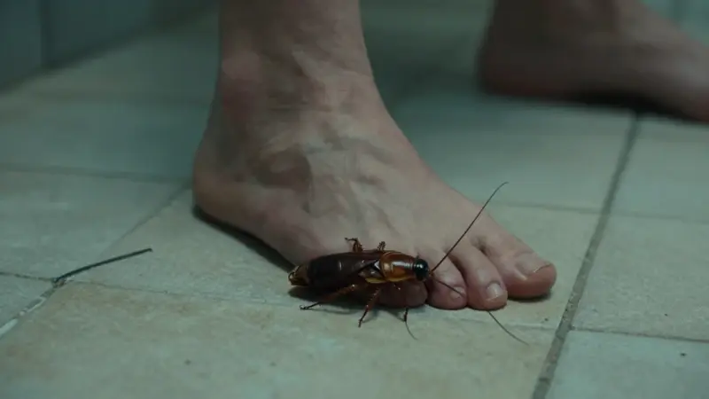 Mano aplastando una cucaracha en un suelo de baño agrietado, con iluminación dramática y tonos apagados.