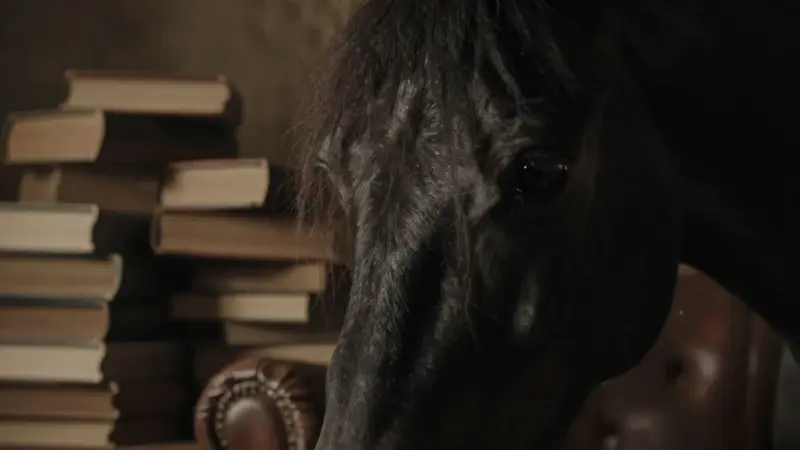 Primer plano de una mujer con el rostro parcialmente oculto por la crin de un caballo negro, en un ambiente de estudio antiguo con libros apilados y luz tenue.