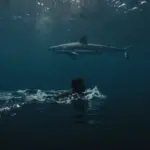 Nadador silueteado en un océano oscuro con un tiburón blanco acechando a la distancia. Ambiente onírico y sensación de vulnerabilidad.
